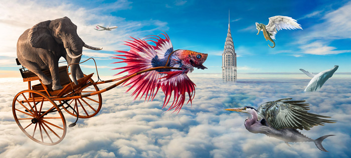 “Flights of Fancy”