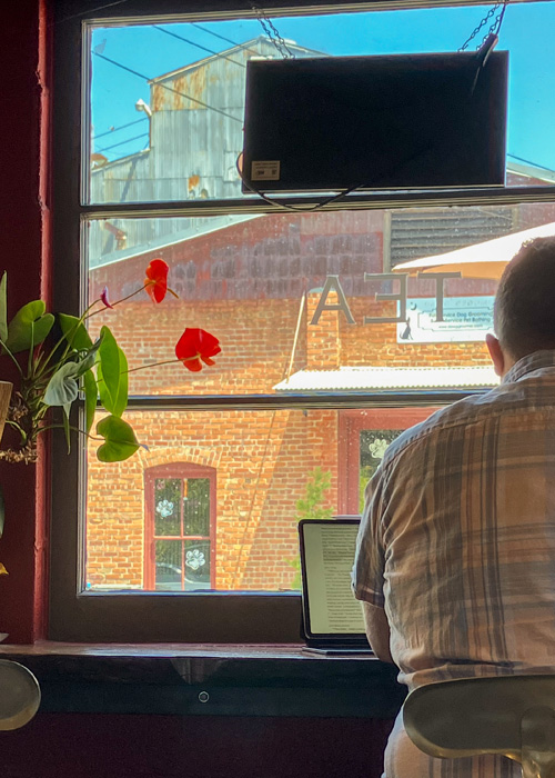 Flower Reaching Toward the Light