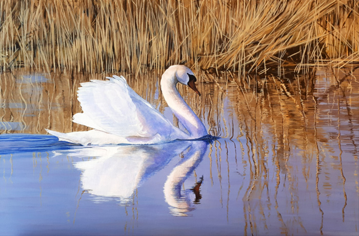 Hon. MentionKristen Federchuk