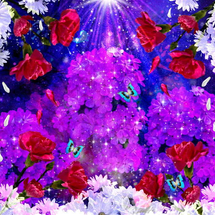 Hon. MentionDiamante Lavendar
