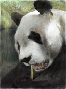 Hon. MentionSu Dazhao