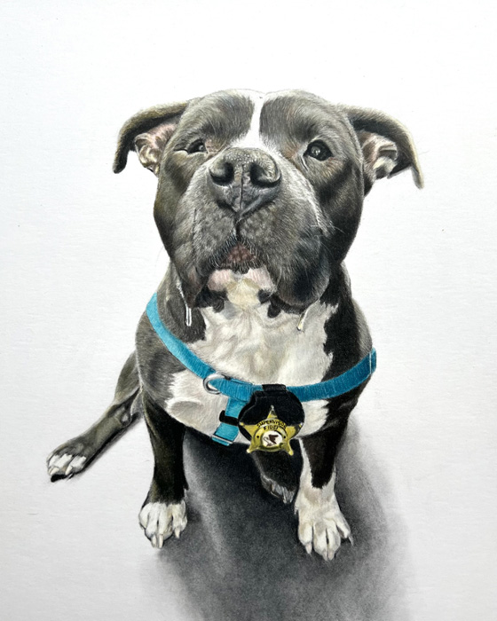 Hon. MentionCaitlyn Pelletier Art