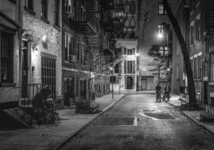“Urban Nocturnal”