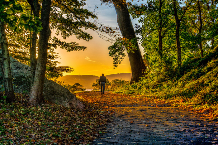 “Follow the Sun”