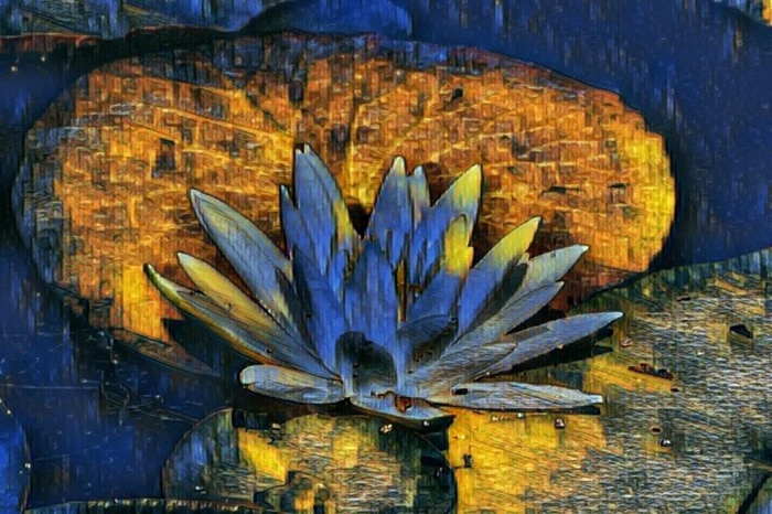Kelley Jakelis – “Jewel of the pond” - kelley.jakelis@yahoo.com