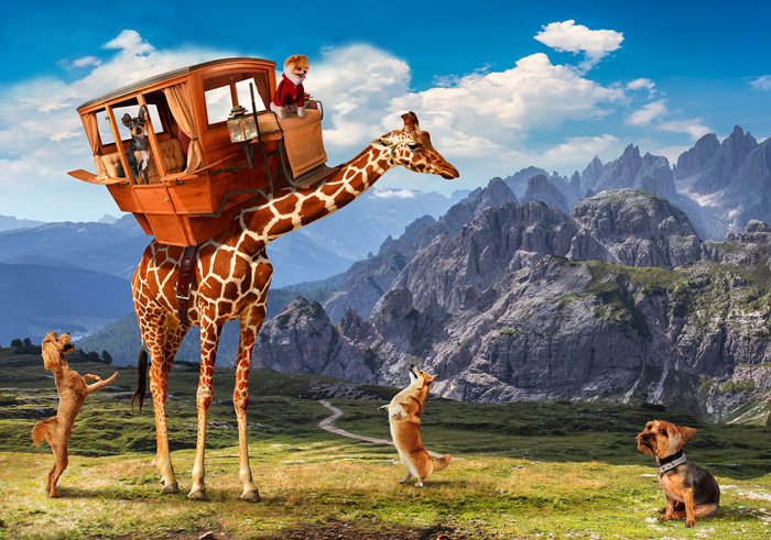"Joy Ride"