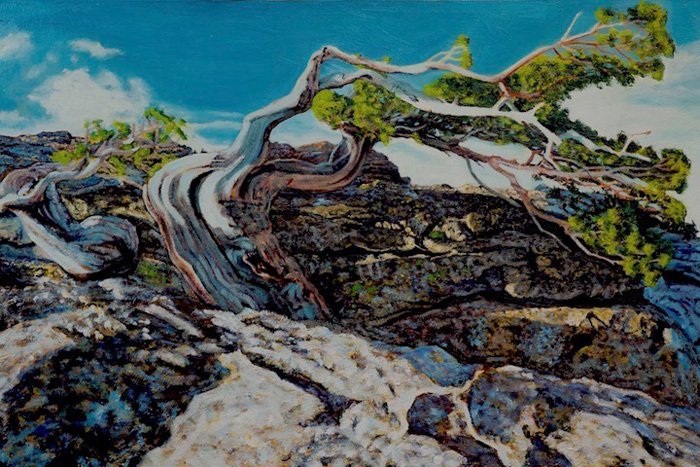 “Juniperus occidentalis I”