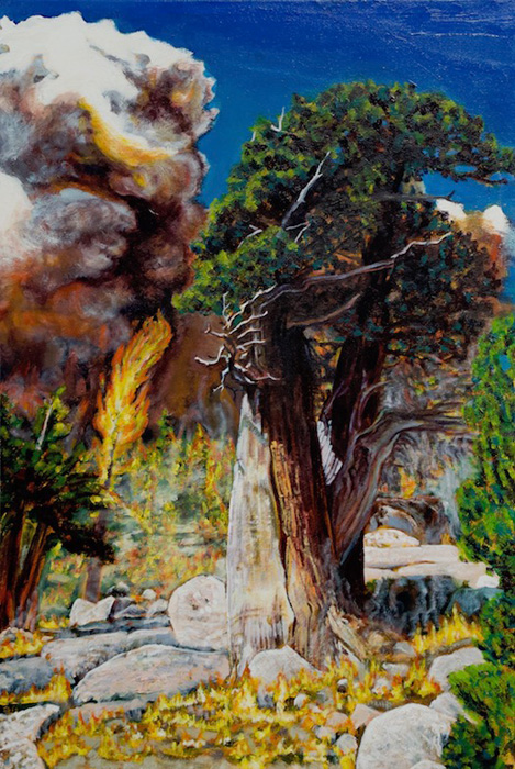 “Juniperus occidentalis III”