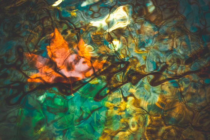 State of Nature