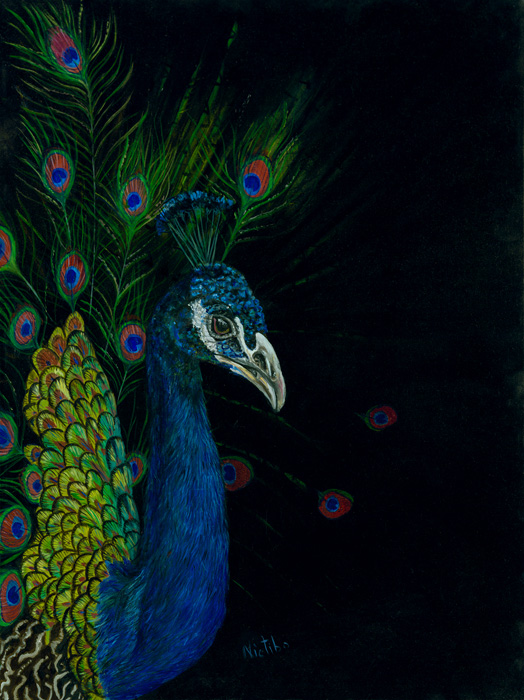 “Majestic Blue”