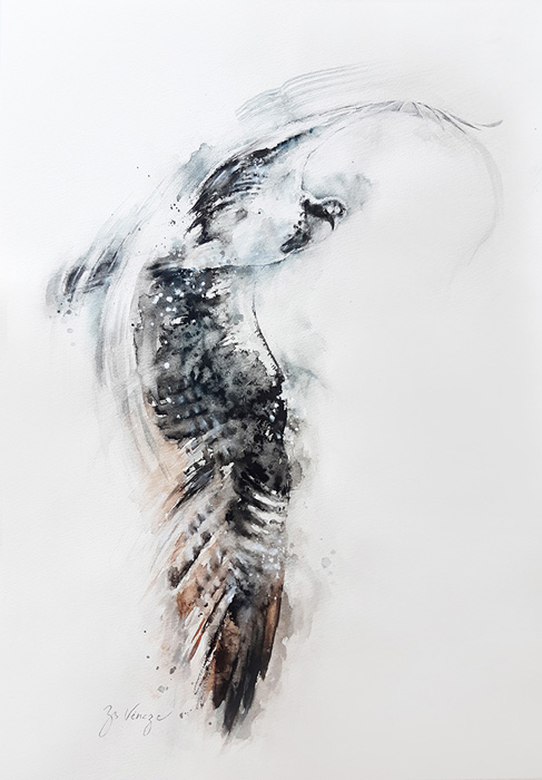 “Osprey”