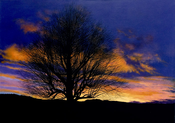 “De la terre au ciel”