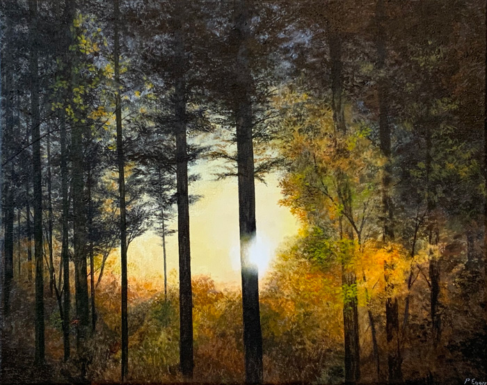 “Irruption lumineuse dans le sous-bois”