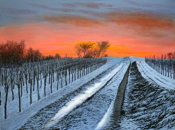 “Le repos de la vigne”