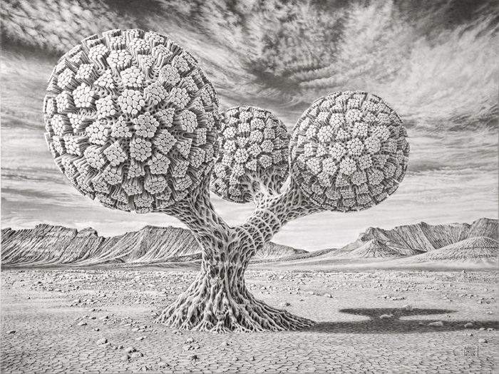 Andrew Lincoln Nelson – “Phytotessellost” - https://www.flickr.com/photos/95209845@N04/