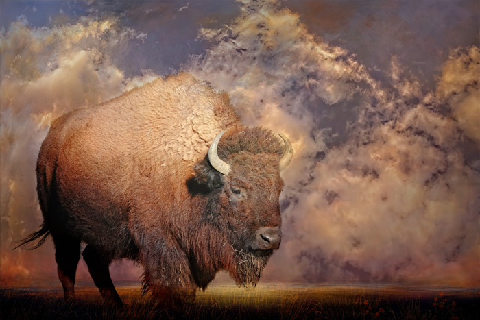 “Prairie Winds”