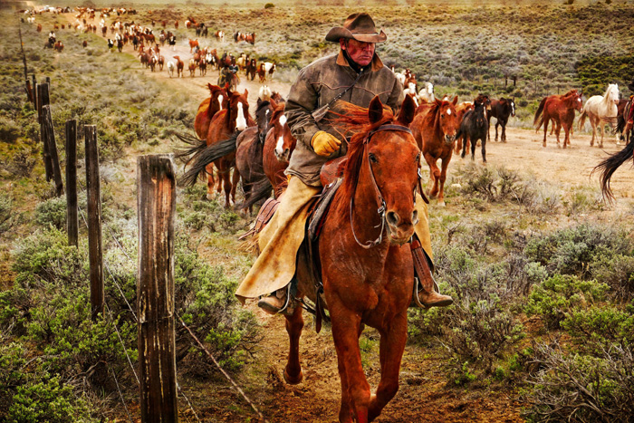 “Ranch Hands Get Dirty”
