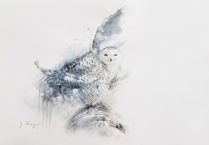 “Snowy Owl”