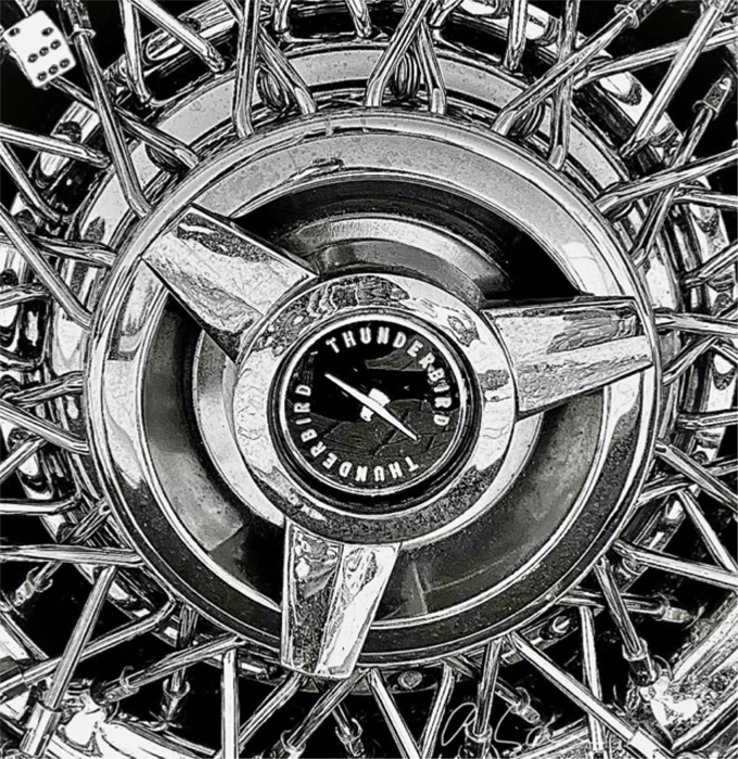 Thunderbird Dream for Pat