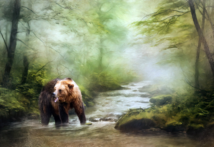 Toby Female Brown Bear Alaska