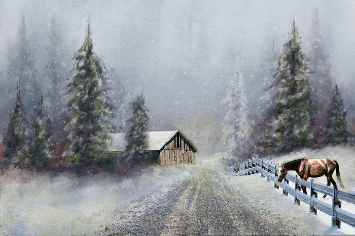 Winter in the Country