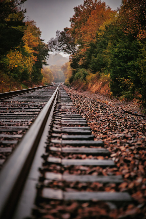 “Into Fall”