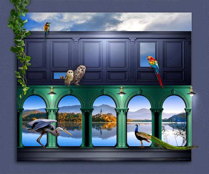 “Aves Arcade”