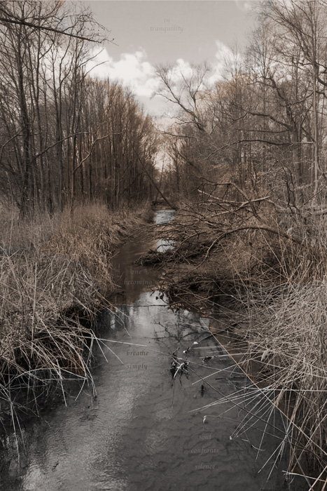 Gwynneth Green – “silence's breath” - www.buddinggreen.com