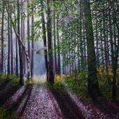 Hazel Thomson – “A Shaft of forest Light” - www.hazelthomsonart.com